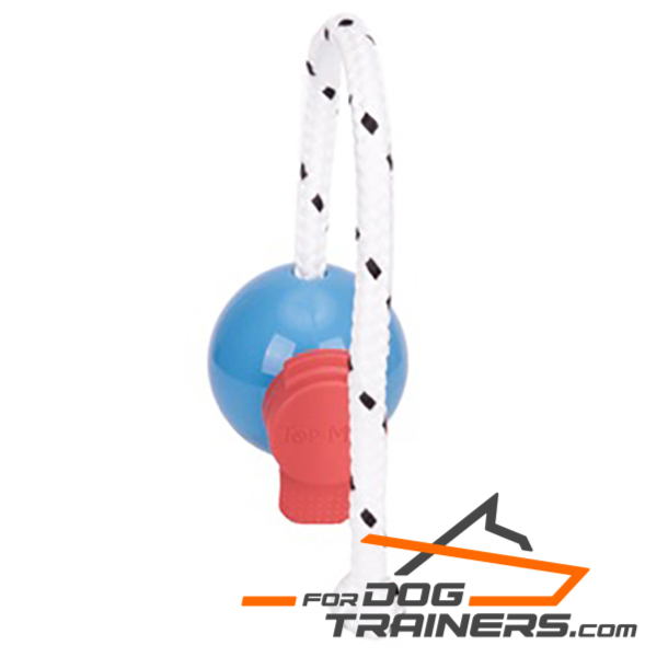 Fun Dog Ball on Rope with Set of Magnets