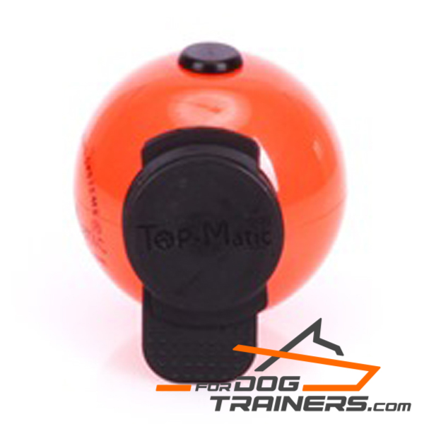 Best Plastic Ball for Training