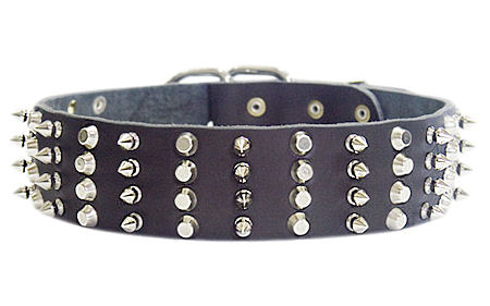 2 inch Leather Dog Collar with STUDS and SPIKES for Pitbull