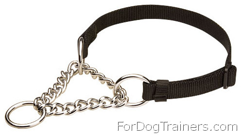 All Weather Nylon Martingale Collar