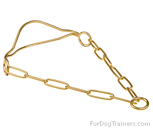 Gold-like Decoration for your Dog