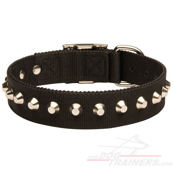 Best Nylon Dog Collar