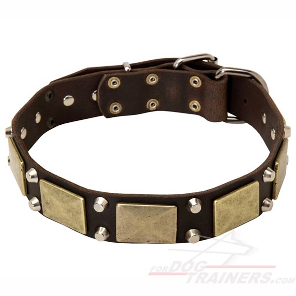 Choose Quality Dog Collar