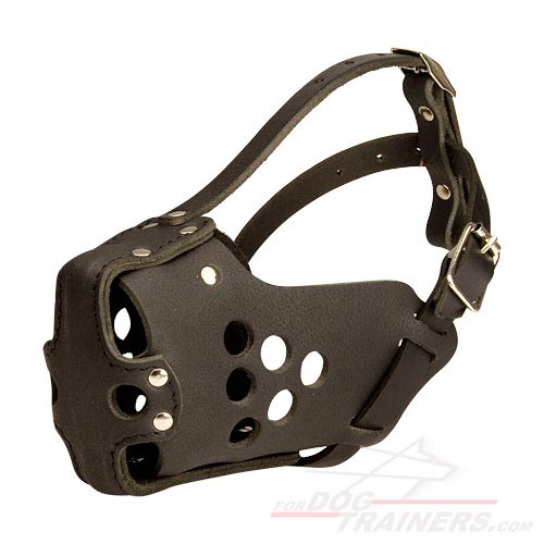 Military Dog Muzzle for training , police ,agitation M31