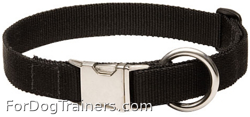 Nylon dog collar for everyday use