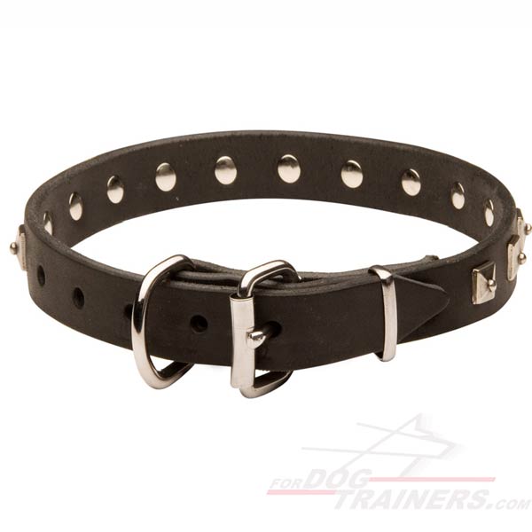 Fashionable Leather Collar