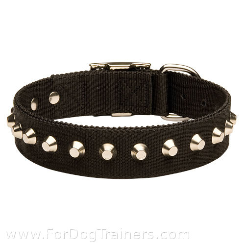 Studded nylon dog collar dor large and medium breeds