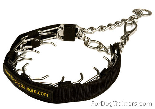 Prong Collar with QR snap hook