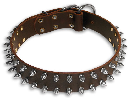 Dog collar