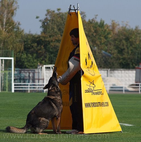 Schutzhund training standart blind