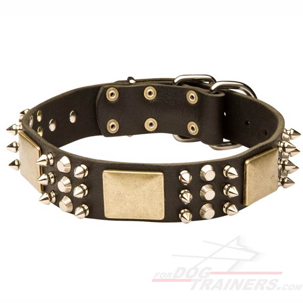 Leather Collar with spikes plates and studds