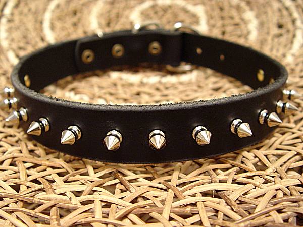 Dog collar