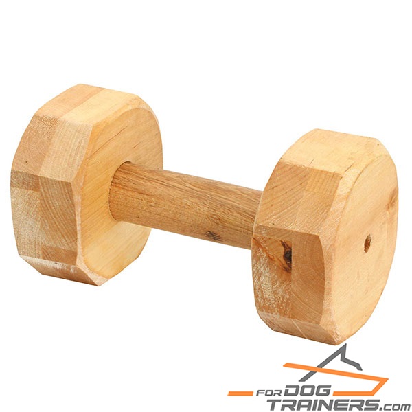 Dog training dumbbell for daily activity