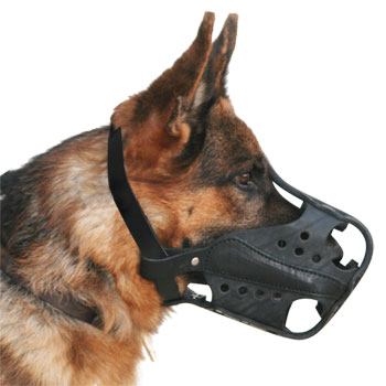 German Shepherd M56 muzzle